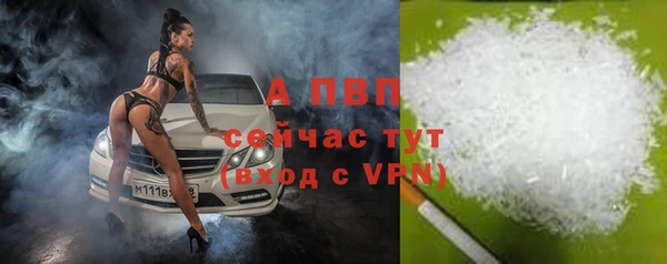 эйфоретик Белоозёрский