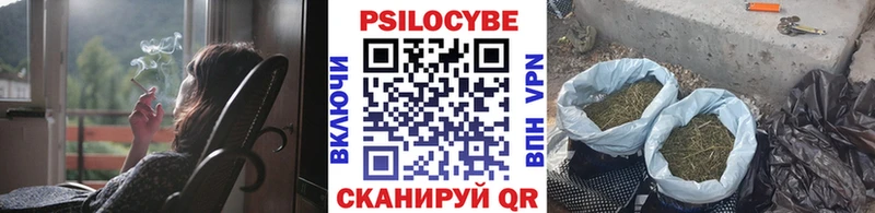 Псилоцибиновые грибы GOLDEN TEACHER  Купить где  Клин 