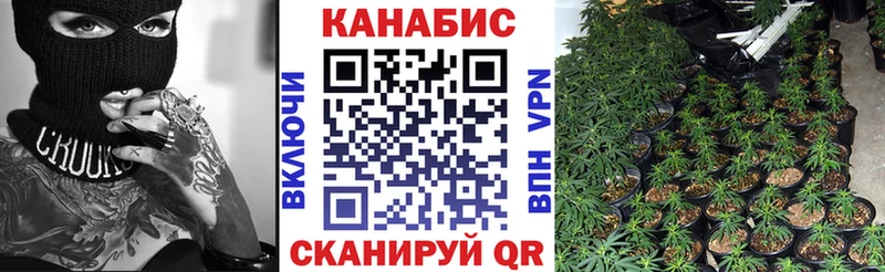 Шишки марихуана марихуана  Купить где  Клин 